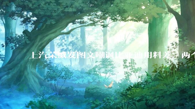 上汽荣威发图文嘲讽比亚迪用料差，两个品牌你怎么选？