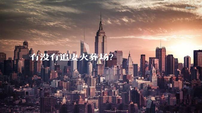 有没有追妻火葬场？